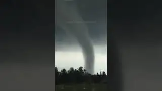 A Perfect Cone Tornado Spins Behind the Trees #shorts