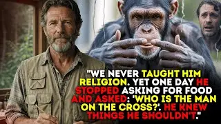 We Taught a Chimpanzee Sign Language &mdash; Until He Signed a Message About Jesus I True Story