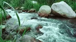 Smooth Water Flowing River Sounds | Natural Background for Focus, Sleep & Relaxation #relax