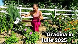 Grădina &icirc;n Iulie🌿Tur Complet 🙌 // Roxana-Alina