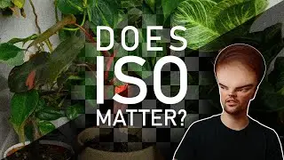 Does ISO really matters when shooting RAW? (YES)