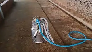Pipeline milking machine manufacturing and supplier 9751041216 #cow #milkmachine #cowmilkingmachine 