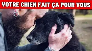 9 choses choquantes que ton chien fait chaque jour (tu ne t’en rends même pas compte)