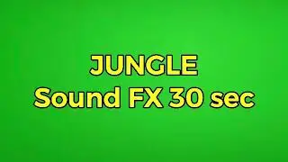 Jungle Sound FX 30 sec Animals