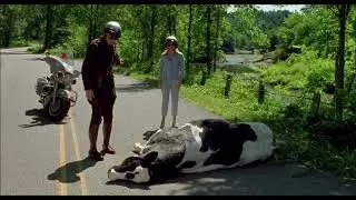 Me, Myself & irene 2000 Cow Scene