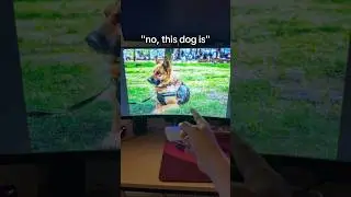 The Most Loyal Dog Ever&hellip; #shorts #viral