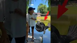 ЗООНОМАЛЬНЫЙ МОНСТР УКУСИЛ ЭЛИНУ! серия 15 #ysshorts #funny #zoonomaly