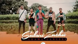 Zuchu - Sukari (official video dance )// chama dancers afro