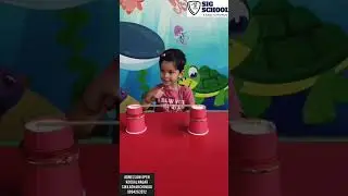 HAND BALANCE ACTIVITY 