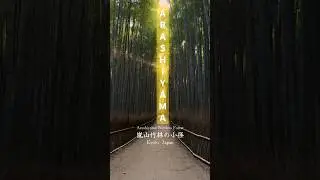 Inside Kyoto&rsquo;s Magical Bamboo Grove