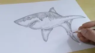 TUTORIAL COMO DESENHAR um TUBARÃO BRANCO passo a passo