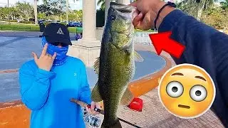 Fishing With My Subscribers! Catching Snook, Largemouth Bass, and Peacock Bass!