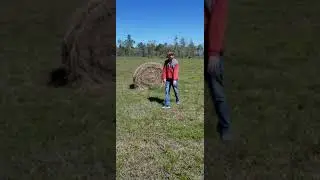 Hunter tries to jump over a round bale of hay