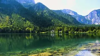 Lake Side Ambience | Enchanted Lake View | Birds Chirping & Water Flowing | Nature Sounds Ambience