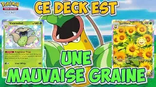 Ce deck EMPIFLOR EMPECHE l&rsquo;adversaire de JOUER 😱 | Deck Pokemon TCG Pocket