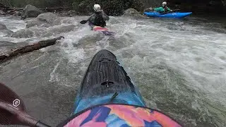 Porters Creek GSMNP