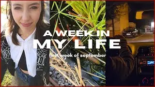 A WEEK IN MY LIFE I back to september
