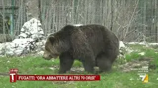 JJ4, Borgonovo: “La morte fa parte della natura”
