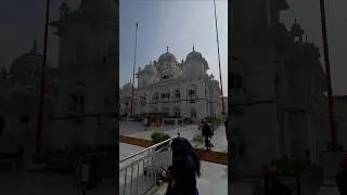 Patna Sahib Gurudwara🪯  #patnasahib #gurudwara #shorts #gurugobindsinghji #sikhism #punjabi #viral