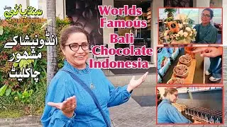 Worlds Famous Bali Chocolate ll Indonesia