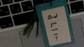 Did you miss me?