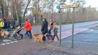 Start leonberger wandeling de weefberg 2025 