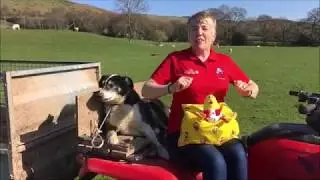 Rhymetime on the farm 1/ Amser rhigwm ar y fferm 1