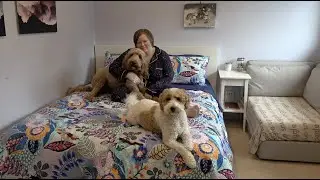 Minimalist Uni Student Bedroom Tour