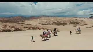 Horseback Adventure in Los Cabos
