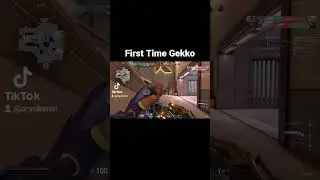 Gekko Ace Clutch #shorts #valorantclips #ace #gekkovalorant