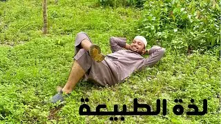 عجائب الريف في بنغلاديش😍قطفت سبانخ وكزبرة من مزرعة القرية وطبيعة الريف الصحية গ্রাম থেকে সবজি