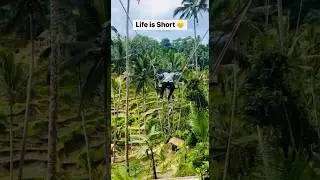 The famous Bali Swing over seeing beautiful rice terraces  ❤️ #ubudswing #shorts #sfrviews