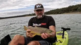 Kayak Fishing | Brown Trout at Harvey Dam