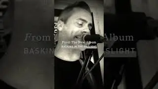 Assertion - New Single 