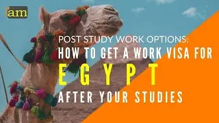 Post-Study Work Options: How to Get a Work Visa in Egypt After Studies