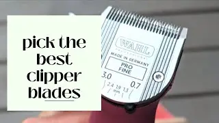 Horse clipping tips - pick the best clipper blade  #horseclipping #horsegrooming #horseclipperblade