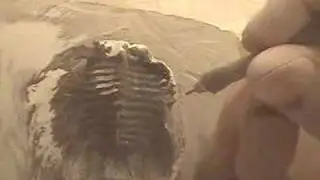 2005.10.10-Trilobite Preparation in Rissani, Morocco