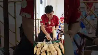 ini dia manfaat akar teratai