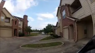 barn swallows dive bombing edited high def