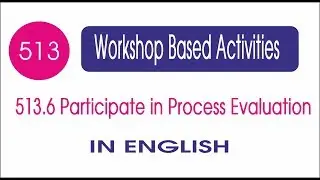 wba 513.6 participation in process evaluation in english