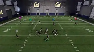 CaL DYNASTY