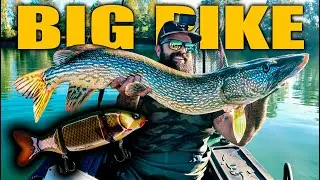 Costruisco una swimbait e (non) ci prendo il mio primo luccio! - Pike fishing dal bellyboat