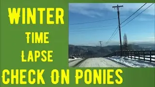 Quick trip to check up on the ponies in this frigid weather