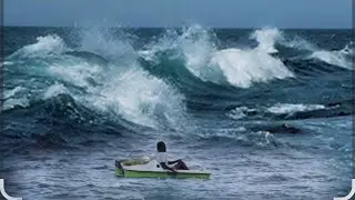 Самый отважный рыбак на Ямайке 🇯🇲