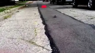 Air hogs NASCAR Review & Test