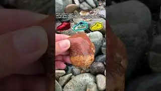 Stone Nugget? Japan&rsquo;s Crunchy Beach Treasure! #NuggetRock #BeachFinds #JapanGem
