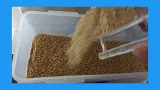 compro Breedmax White para mis canarios / gran canaria M&eacute;xico
