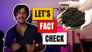 Can Vegans Really Get B12 From Soil & Water?