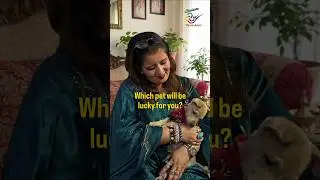 Which Pet Is Lucky For You? #astrology Secrets #radheradhe #pets #shorts #viralshorts #viral #trend