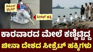 ಕಾರವಾರದ ಮೇಲೆ ನೌಕಾ ನೆಲದ ಮೇಲೆ ಕಣ್ಣಿಟ್ಟಿದ್ದ ಚೀನಾ ದೇಶದ ಗುಪ್ತಚರ ಹಕ್ಕಿಗಳು | Karwar | Seagull | GPS | China